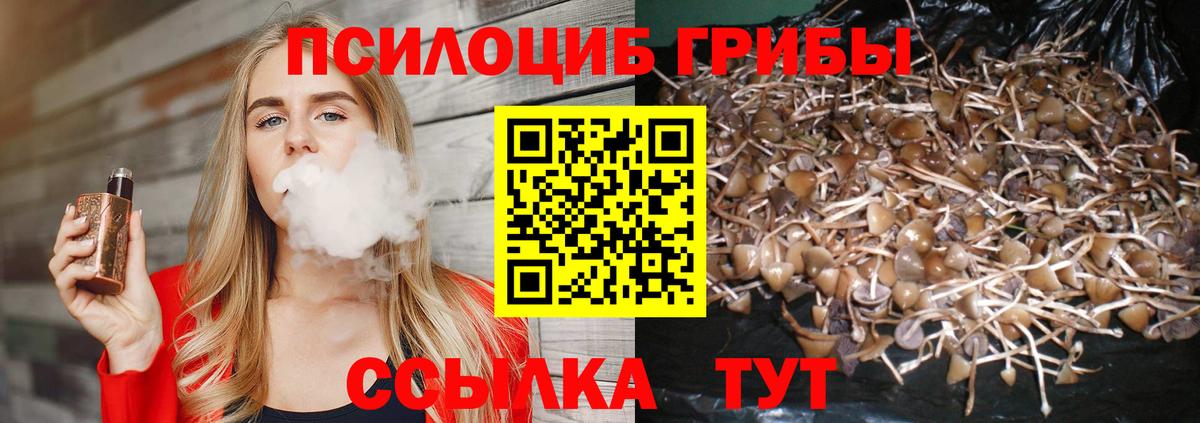 Псилоцибиновые грибы мухоморы  Вход с VPN  Галлюциногенные грибы MAGIC MUSHROOMS  где можно купить наркотик  Старая Русса 