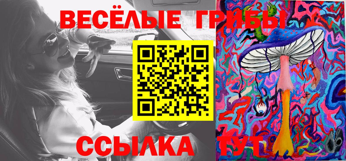 Галлюциногенные грибы мицелий Старая Русса